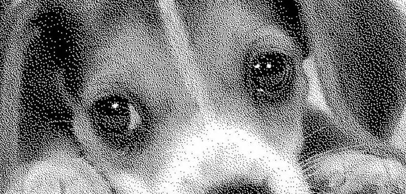 Imagem bitmap de um cachorro