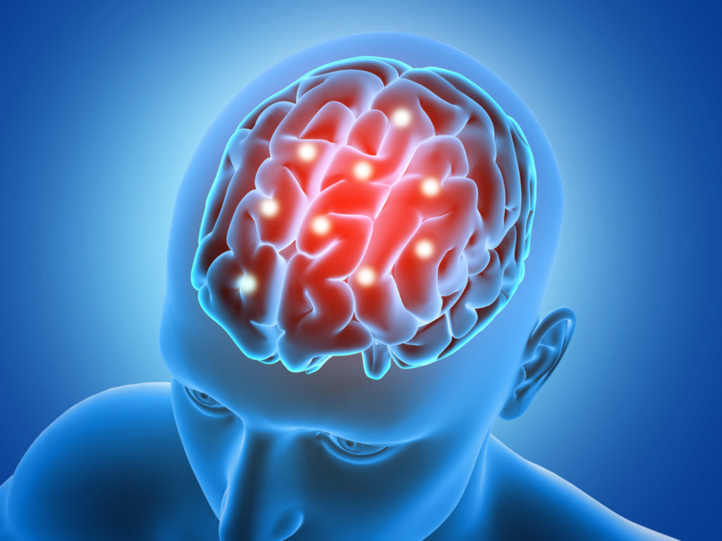 Imagem de um modelo em 3D de um cérebro humano